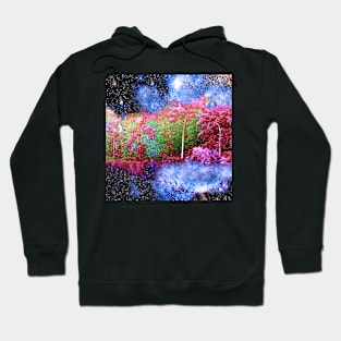 Night Lake Hoodie